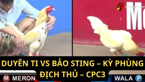 DUYÊN TI VS BẢO STING – KỲ PHÙNG ĐỊCH THỦ – CPC3