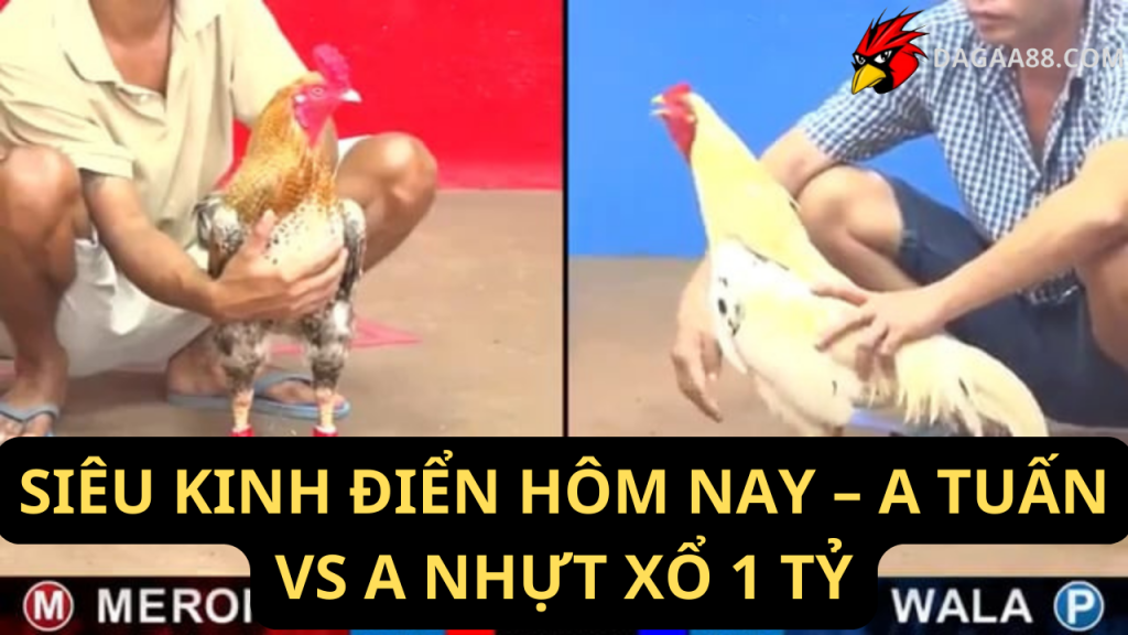 SIÊU KINH ĐIỂN HÔM NAY – A TUẤN VS A NHỰT XỔ 1 TỶ