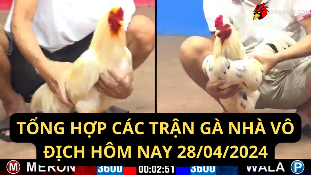 TỔNG HỢP CÁC TRẬN GÀ NHÀ VÔ ĐỊCH HÔM NAY 28042024