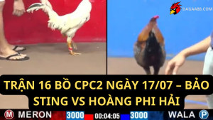 TRẬN 16 BỒ CPC2 NGÀY 1707 – BẢO STING VS HOÀNG PHI HẢI