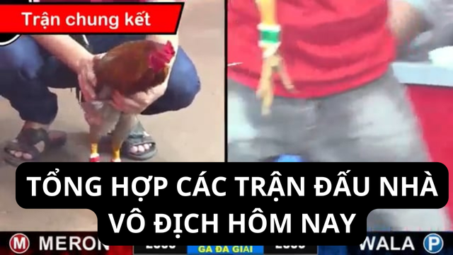 Tổng hợp các trận đấu nhà vô địch hôm nay