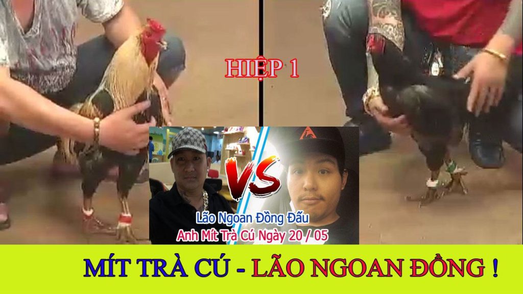 Mít Trà Cú vs Lão Ngoan Đồng